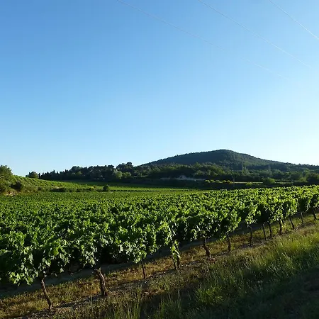 Du Gour Du Peyrol Buisson